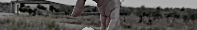 Hand with black wrist support holding parallettes outdoor setting with cows in the background.