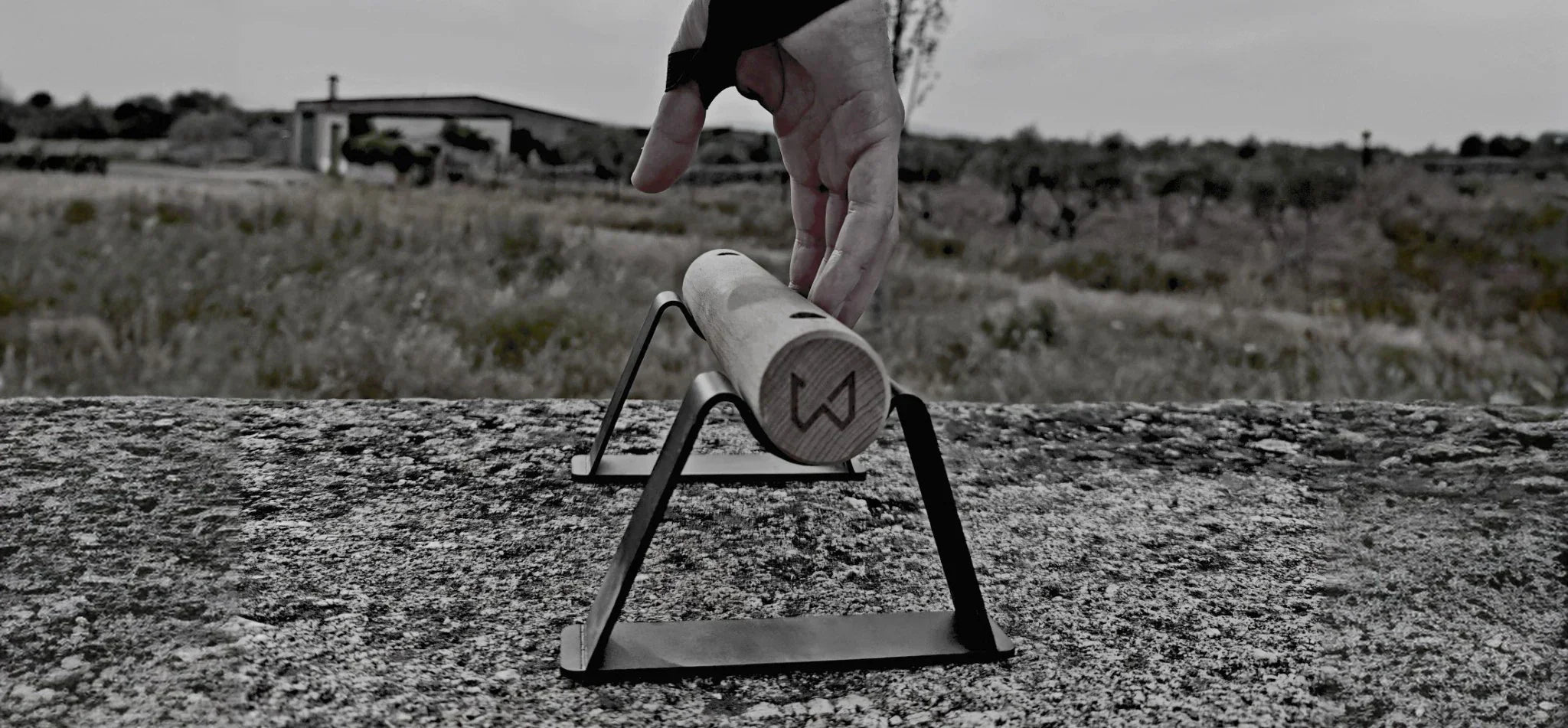 Beginner Parallettes Workout: Full Routine to Build Strength and Control