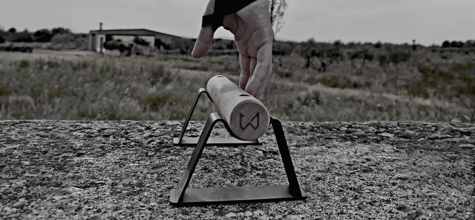 Calisthenics level test and equipment recommendations by Wild Dynamics