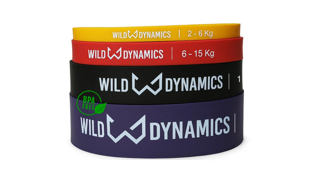 Set of Wild Dynamics resistance bands in different colors and sizes on a white background