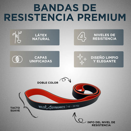 Banda de resistencia con las características destacadas sobre un fondo gris.