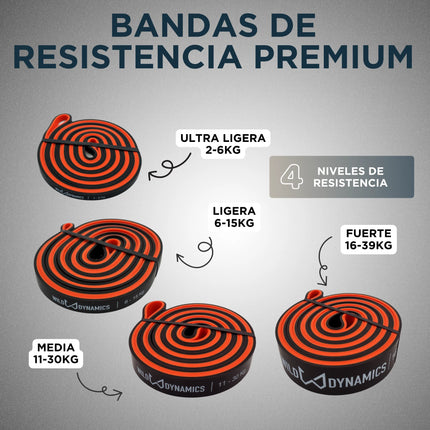 Bandas de resistencia con rangos de peso indicados sobre un fondo gris.
