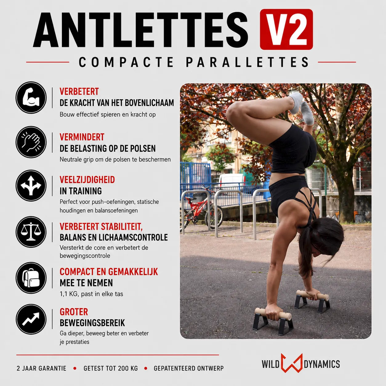 antlettes v2 compacte parallettes voordelen