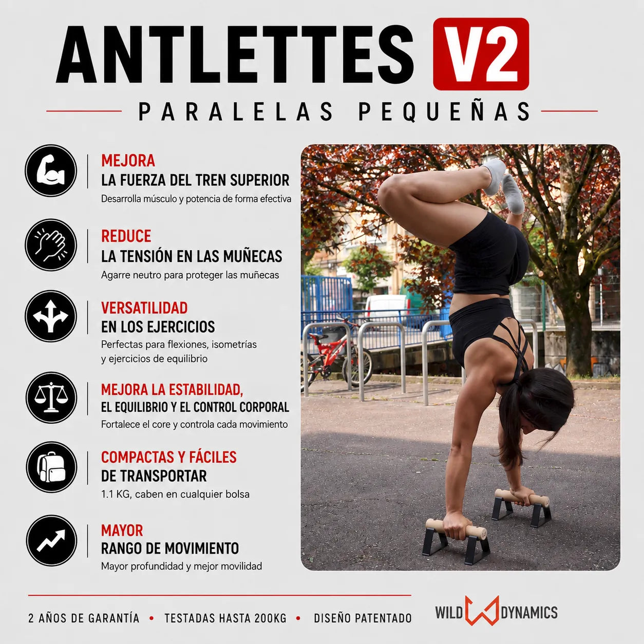 antlettes v2 small parallettes training