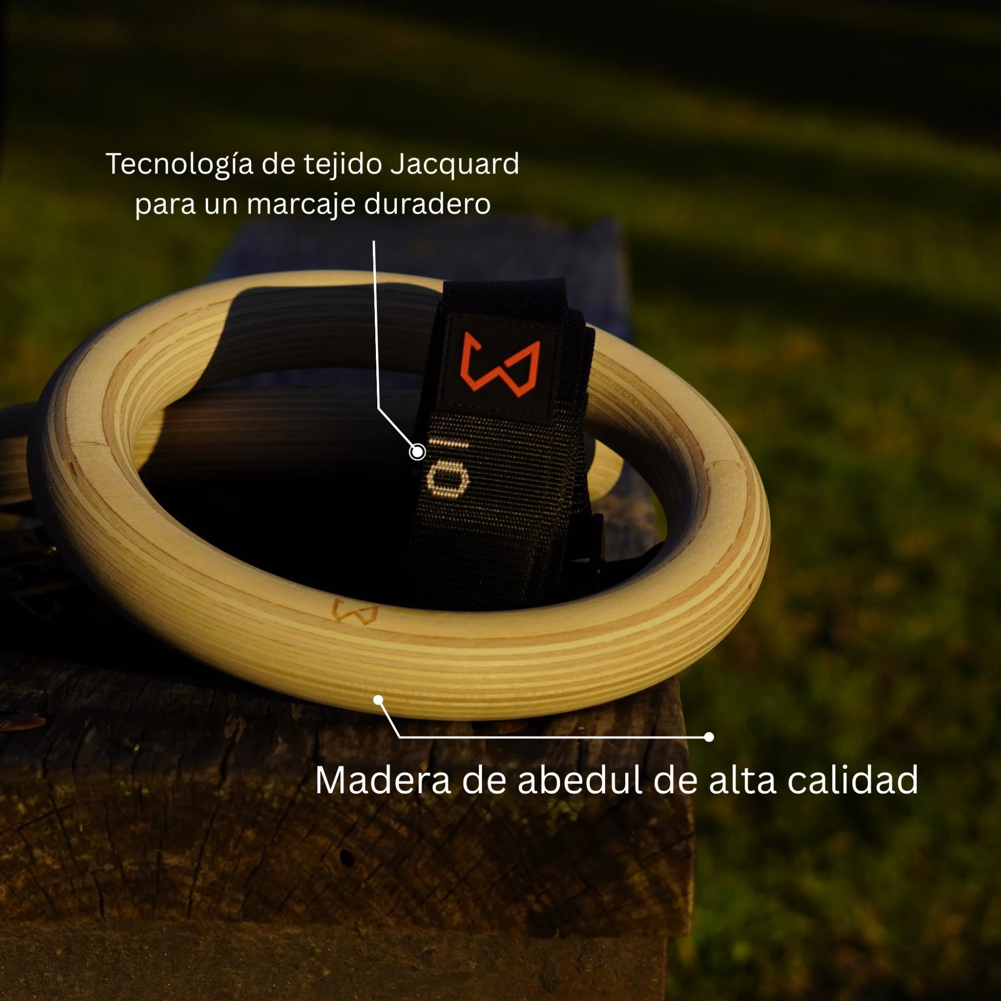 Anillos de entrenamiento de madera de abedul de alta calidad