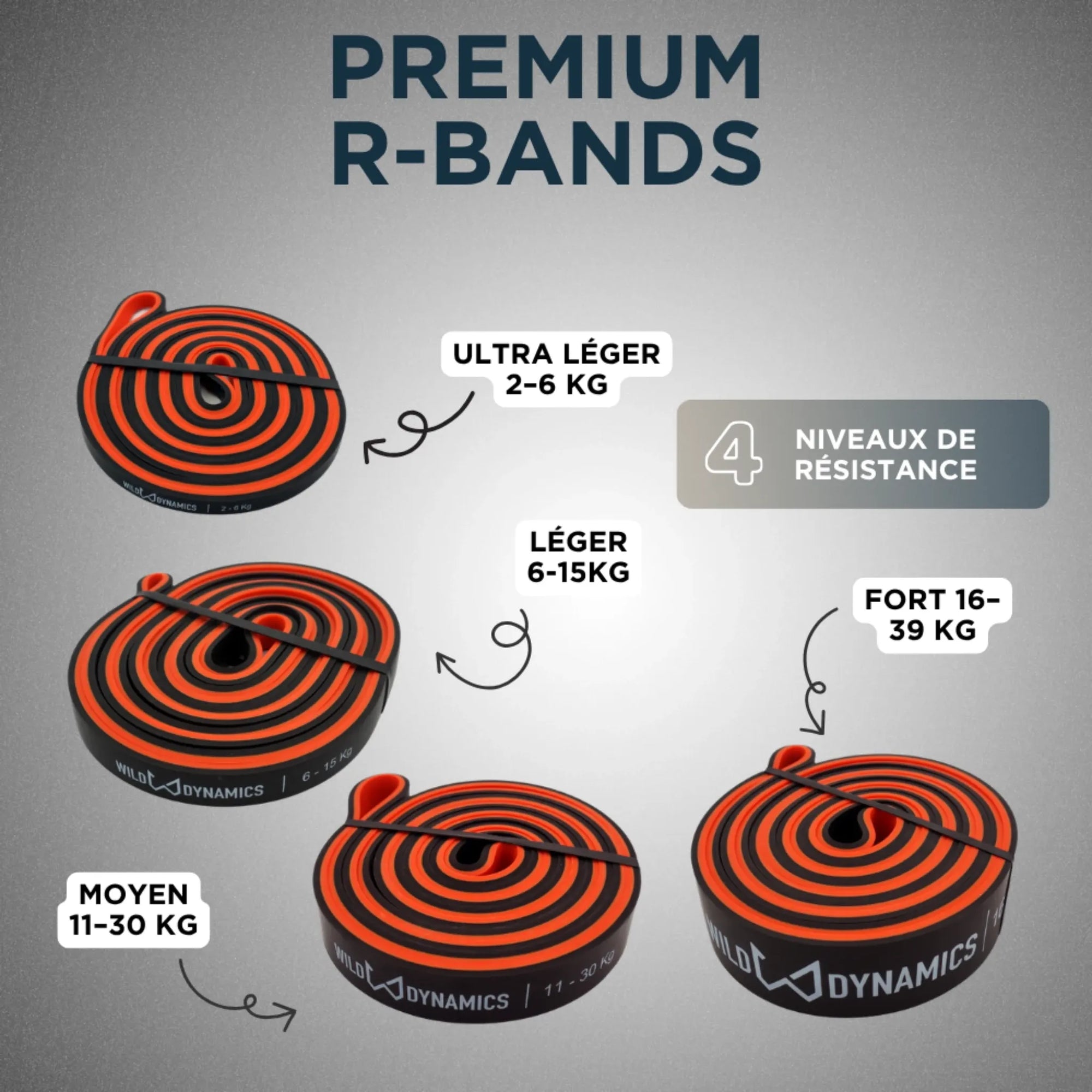 Illustration of R-Bands with resistance levels on a gray background