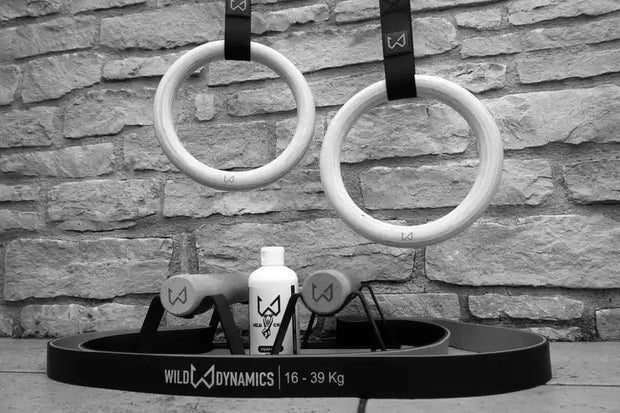 Gymnastic rings on a black stand with 'Wild Dynamics' branding against a stone wall.
