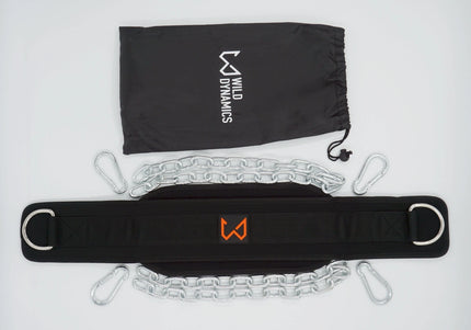 Dip Belt - Double Chain