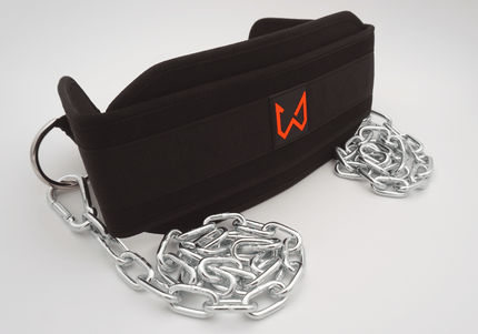 Wilddynamics Dip Belt - Double Chain Premium Dip Belt for Calisthenics - Wild Dynamics