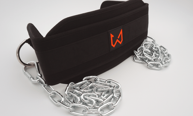 Wilddynamics Dip Belt - Double Chain Premium Dip Belt for Calisthenics - Wild Dynamics