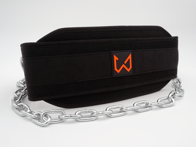 Wilddynamics Dip Belt - Double Chain Premium Dip Belt for Calisthenics - Wild Dynamics
