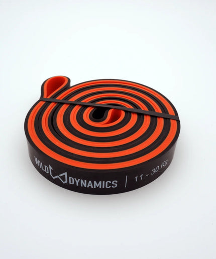 Black and orange resistance band with 'Wild Dynamics' branding on a white background