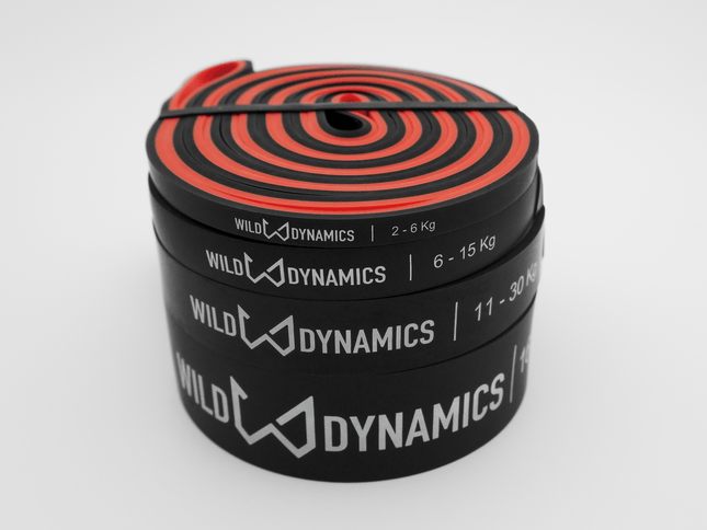 Wilddynamics Set of 4 Natural Latex Resistance Bands Set of 4 Resistance Band Set – 4 Levels of Resistance | Wild Dynamics