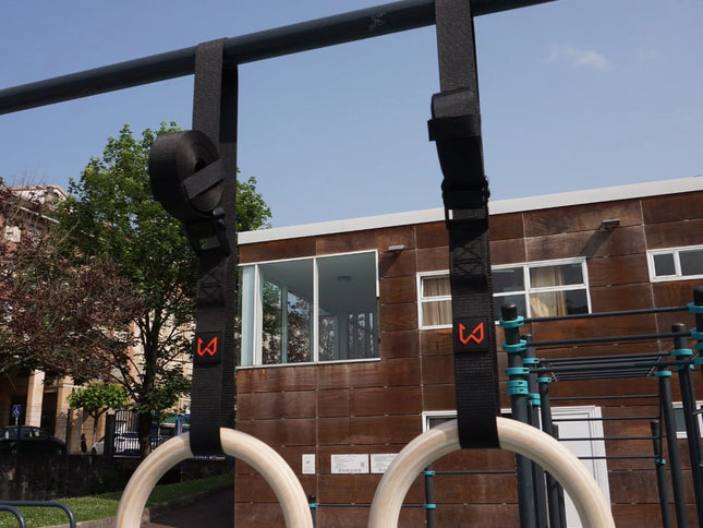 Two rings of wild dynamics in an outdoor park setting